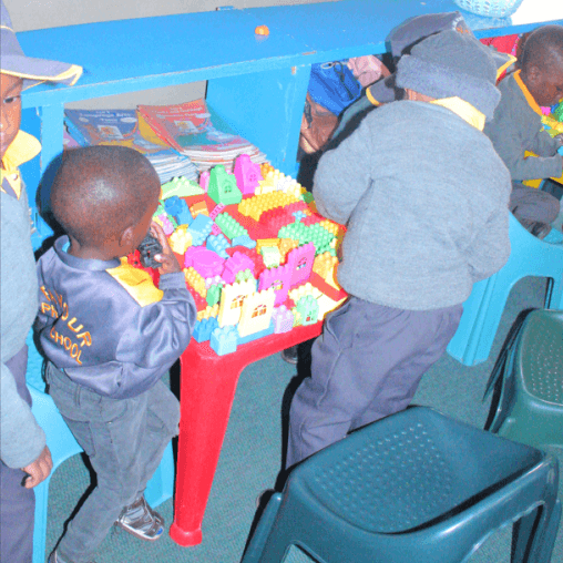 ECD B Program